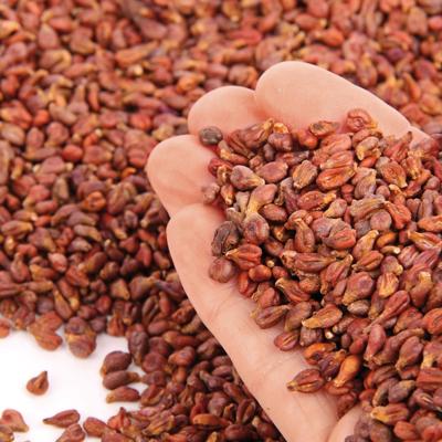 Sissel Vinotherm Warmtekussen 150120