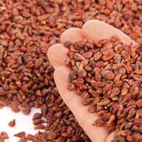 Sissel Vinotherm Warmtekussen 150120 - thumbnail