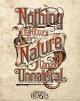 Poster Fantastic Beasts - Unnatural 40x50cm - thumbnail