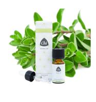 Chi Natural Life Marjolein Spanje Etherische Olie Bio - thumbnail