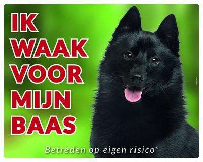 Schipperke Waakbord - Ik waak voor mijn baas