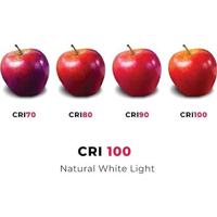 Energetic LED kogel E27 2,9-22W 2400K flame - 2710290 - thumbnail