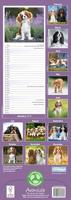 Cavalier King Charles Spaniel Kalender 2026 Slimline - thumbnail