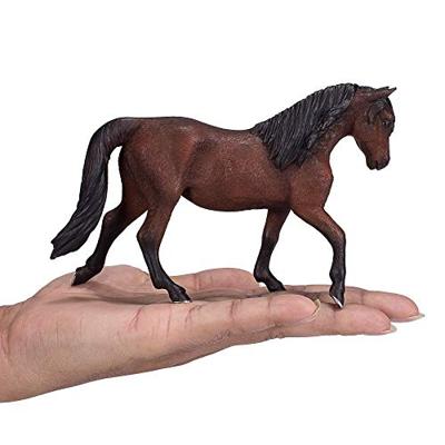 Mojo horse world morgan hengst bruin 381021