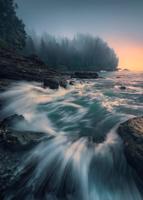 Komar Stefan Hefele; Komar Wanderlust Fotobehang Cry of the Sea - SHX4-129 - thumbnail