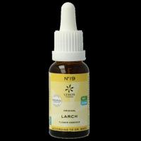 Lemon Pharma Bach NO.19 Larch - thumbnail