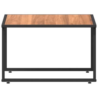 Salontafel Zwart en Bruin 55 x 55 x 35 cm Gepoedercoat staal