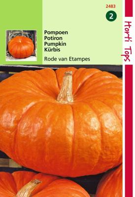 Zaden Pompoenen Rode van Etampes Hortitops - Hortitops