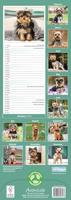 Yorkshire Terrier Kalender 2026 Slimline - thumbnail