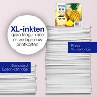 Epson Inktcartridge 604 Origineel Enkel Zwart C 13 T 10G14010 - thumbnail