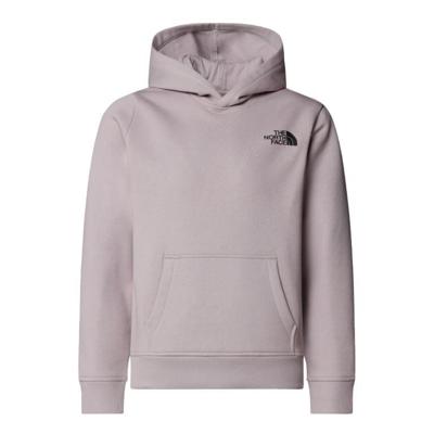 The North Face Redbox Regular Hoodie Trui Kinderen Moonstone Grey M The North Face Redbox Regular Hoodie Trui Kinderen Moonstone Grey M