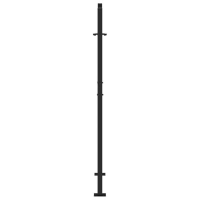 Poort met lichtontwerp 100x150 cm staal zwart