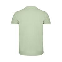 Roly RY6638 Men´s Star Poloshirt - Mist Green 264 - S - thumbnail