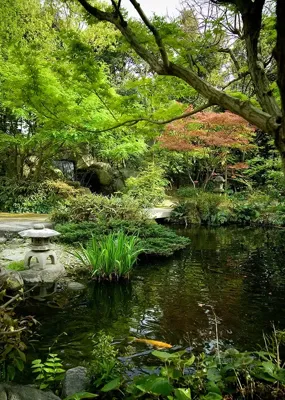 Alexsar Art Tuinschilderij vijver 70x50cm