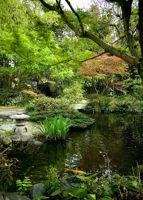 Alexsar Art Tuinschilderij vijver 70x50cm - thumbnail