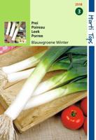 Zaden Prei Blauwgroene Winter Sel. Hiverbleu Hortitops - Hortitops - thumbnail