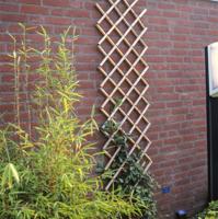 Nature klimrek bamboe 100 x 200 cm - thumbnail