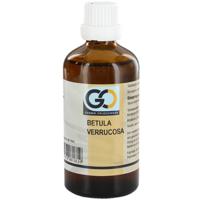 GO Betula verrucosa - thumbnail