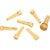 D&apos;Addario PWPS6 Wood Bridge Pins Boxwood brugpinnen (set van 6)
