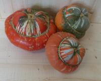 Turkse Muts Cucurbita Warentuin Natuurlijk - Warentuin natuurlijk - thumbnail