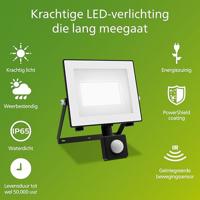 Philips LED Lois 929004643301 LED-buitenschijnwerper met bewegingsmelder 14 W Lichtkleur (naam): Koudwit - thumbnail