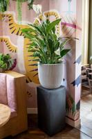 Capi Pilaar Smooth 36x36x79cm Zwart - thumbnail