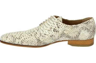 Paulo Bellini 1708 - alle