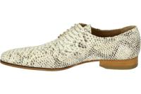 Paulo Bellini 1708 - alle - thumbnail