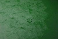 Exacompta Sorteermap 12-delig, groen - thumbnail