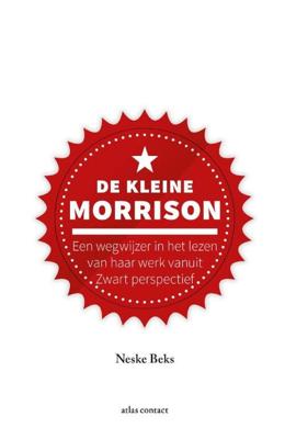 De kleine Morrison (Hardback) De kleine Morrison (Hardback)