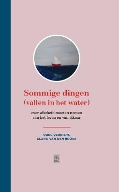 Sommige dingen (vallen in het water) - Clara van den Broek, Roel Verniers - eBook (9789460011719)