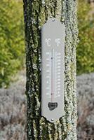 Esschert Design Metalen thermometer 30cm - thumbnail