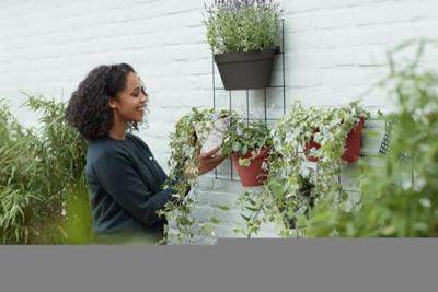 Elho loft urban wall single wandbak 15 cm antraciet - thumbnail