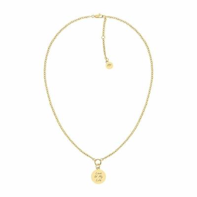 Ketting Dames Tommy Hilfiger 2780903 45 cm