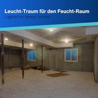 REV Ovalarmatur LED 5,5W grau Lamp voor vochtige ruimte LED 5.5 W Daglichtwit - thumbnail