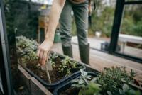 Fiskars 1072101 Plantenschepje - thumbnail