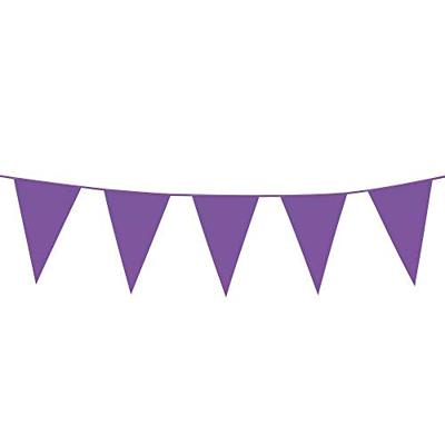 Mini Vlaggenlijn Paars (3m)