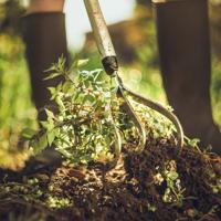 Fiskars Xact Cultivator - 1027040 - 1027040 - thumbnail