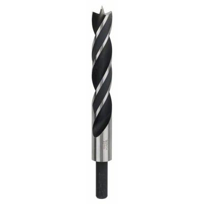 Bosch Accessoires Houtspiraalboren Standard 22 x 140 x 210 mm, d 13 mm 1st - 2608597204