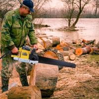 DeWALT DWE397 Alligatorzaag 1700W 430mm - thumbnail