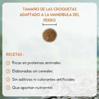 Nutrivet Inne Dog Energetic hondenvoer 2 x 12 kg - thumbnail