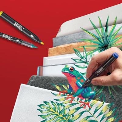 Creatieve marker sharpie 12st assorti