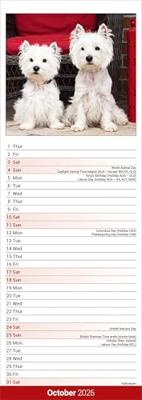 West Highland White Terrier Kalender 2026 Slimline