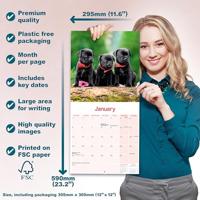 Staffordshire Bull Terrier Puppies Kalender 2026 - thumbnail