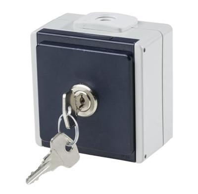AS Schwabe 62461 Stopcontact (opbouw) Afsluitbaar IP54 Grijs