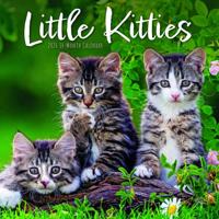 Kleine Kittens Kalender 2026 - thumbnail
