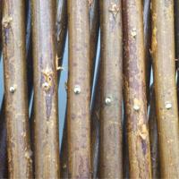 Nature Wilgenklimrek 90x180 cm - thumbnail