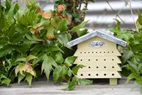 Bijenhuis hout - thumbnail