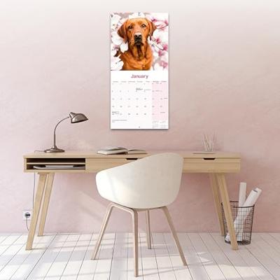 Labrador Retriever Rood Kalender 2026 Labrador Retriever Rood Kalender 2026