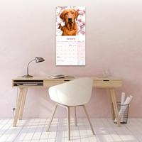 Labrador Retriever Rood Kalender 2026 - thumbnail